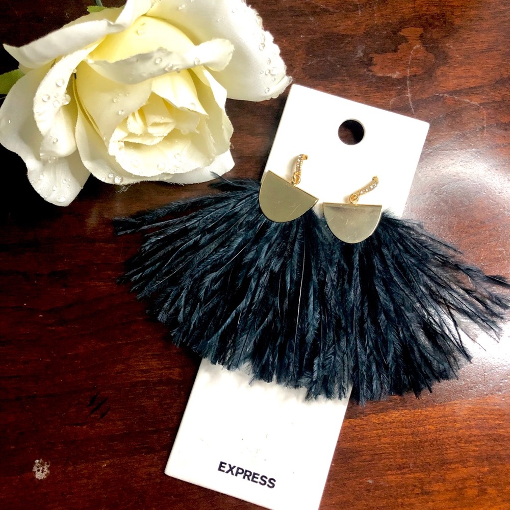 🆕Express black feather earrings